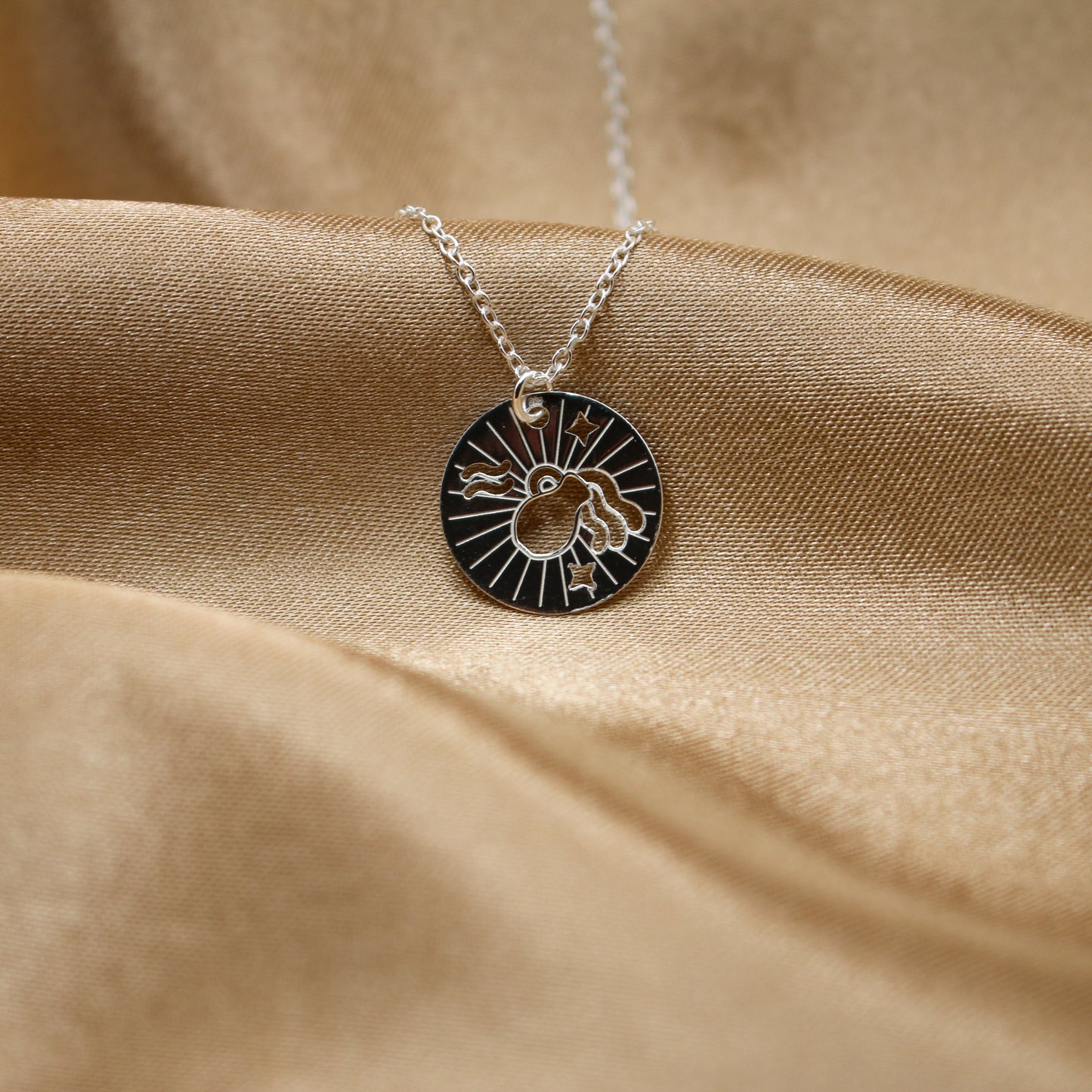 Wassermann Silber Halskette