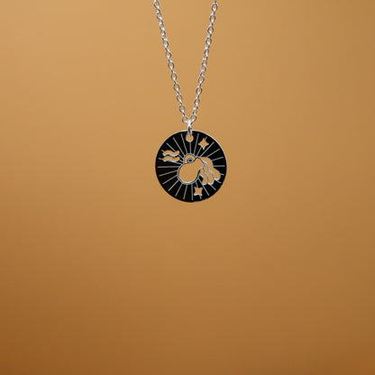 Wassermann Silber Halskette