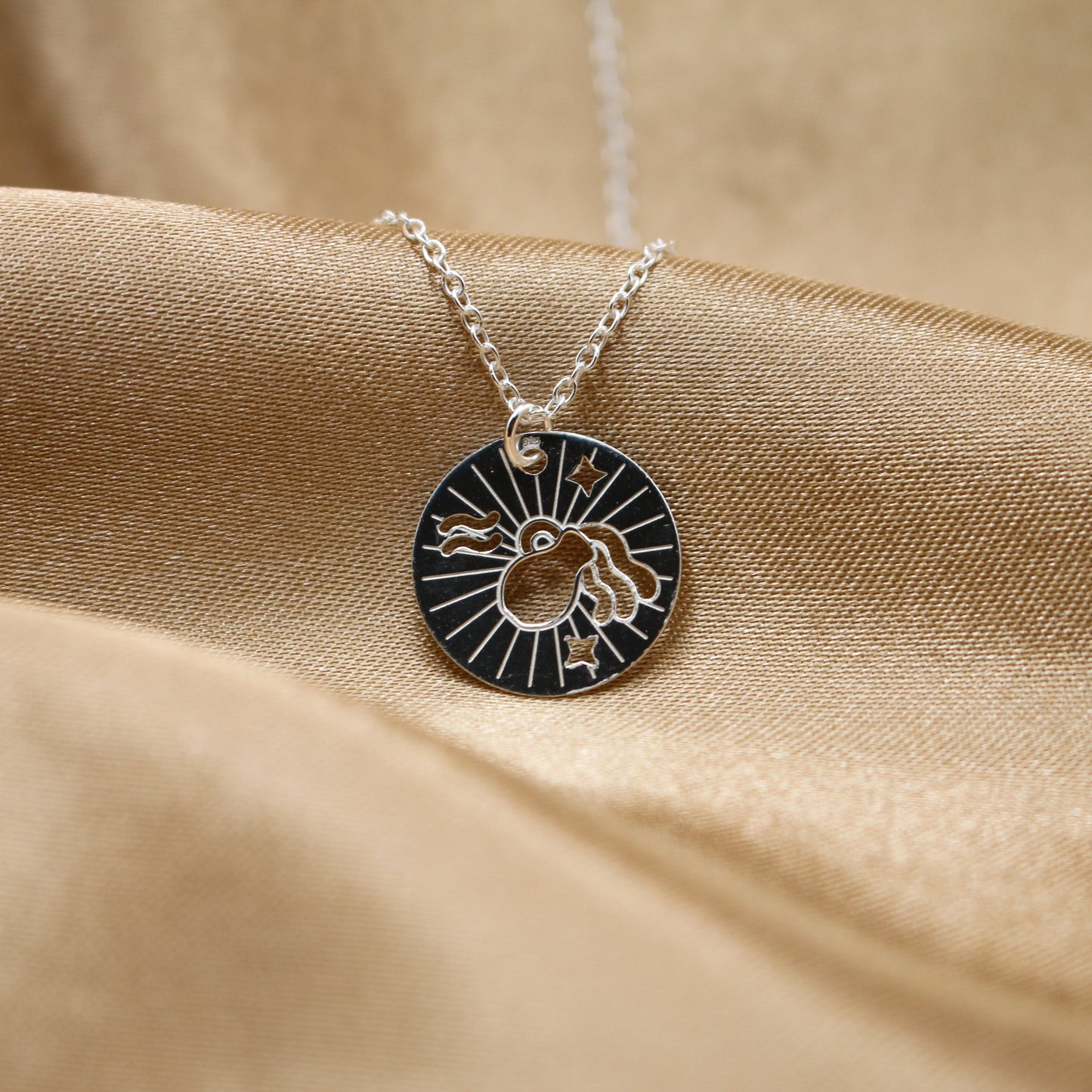 Wassermann Silber Halskette